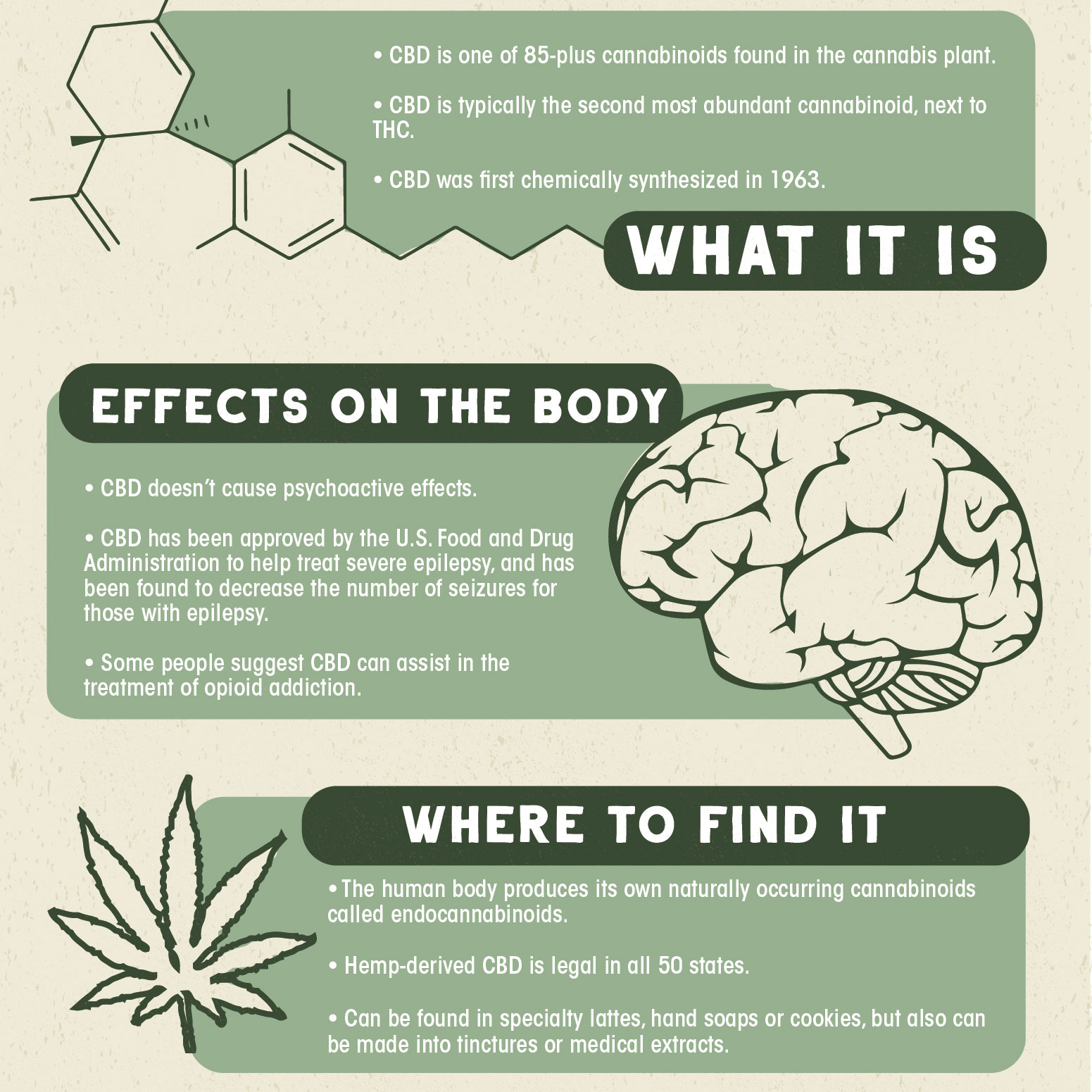 What Is CBD? | Vaperite | Cannabis Education | Cannarite