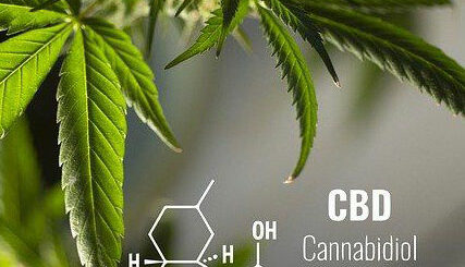 cannabis-weed-CBD-Reviews-Health-Benefits