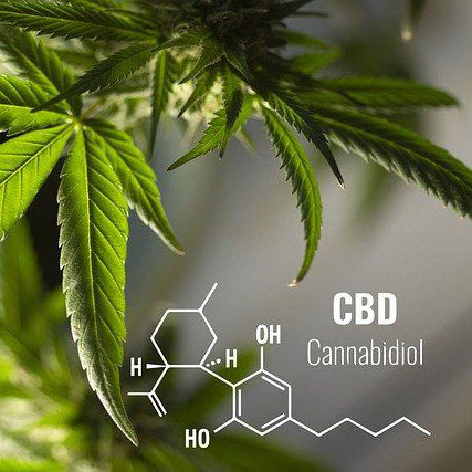 cannabis-weed-CBD-Reviews-Health-Benefits