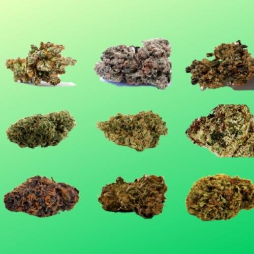 Different types of cannabis strains - Cannarite