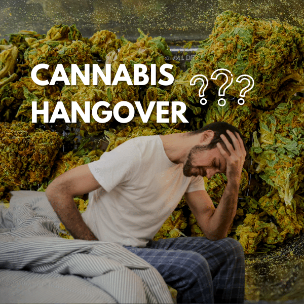 The Cannabis Hangover - What it is and how to avoid it | Vaperite