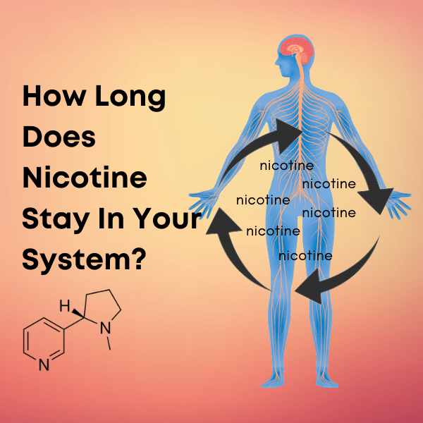 How Long Does Nicotine Stay In Your System - Vaperite - Vape Shop South Africa