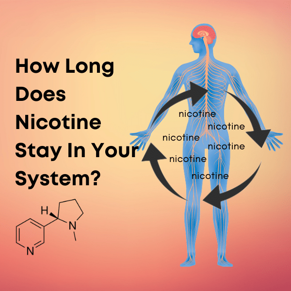 How Long Does Nicotine Stay in Your System from Vaping Vaperite