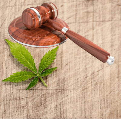 Why-cannabis-was-made-legal