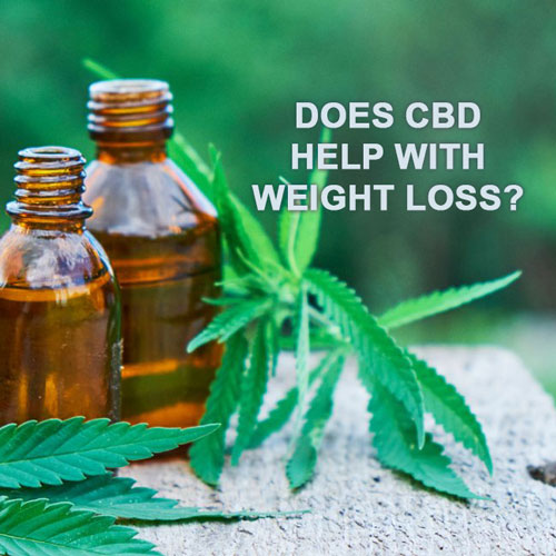 CBD-Weight-Loss–Does-CBD-help-with-weight-loss
