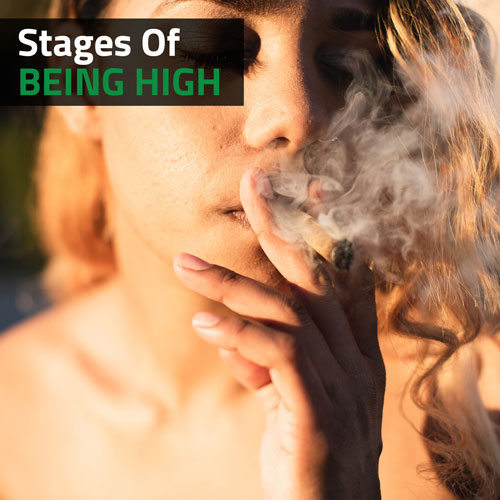 Cannabis-Stages-Of-Being-High