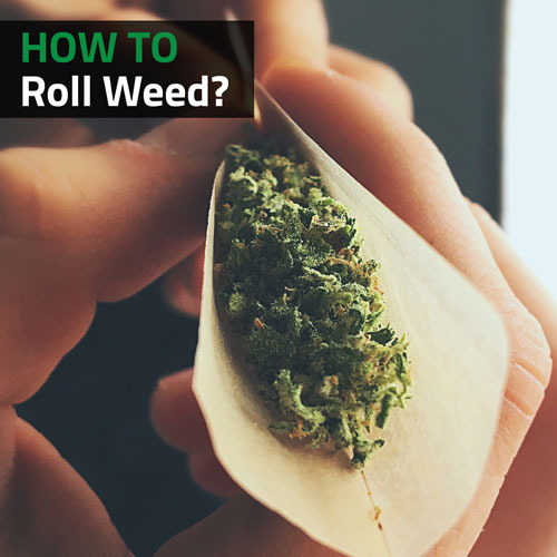 How-to-roll-weed-cannabis
