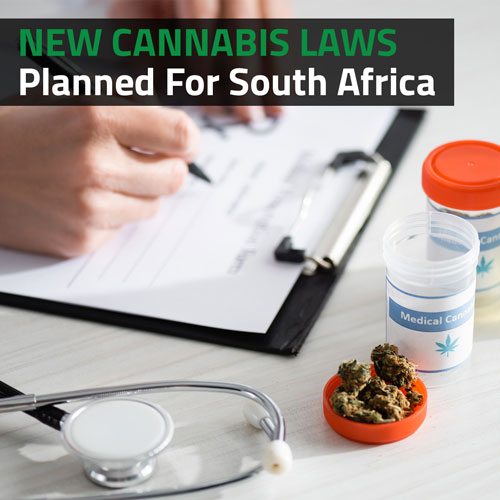 New-Cannabis-Laws-Planned-For-South-Africa