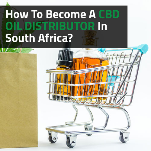 How-To-Become-A-CBD-Oil-Distributor-In-South-Africa