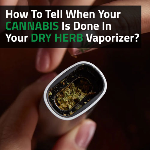 How-To-Tell-When-Your-Cannabis-Is-Done-In-Your-Dry-Herb-Vaporizer