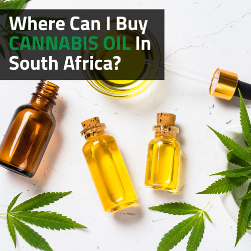 Where-Can-I-Buy-Cannabis-Oil-In-South-Africa
