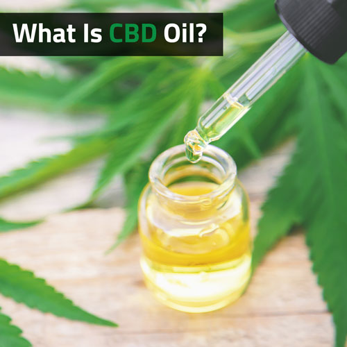 What Is CBD Oil?