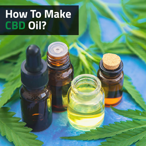 Cannabis-how-to-make-CBD-oil