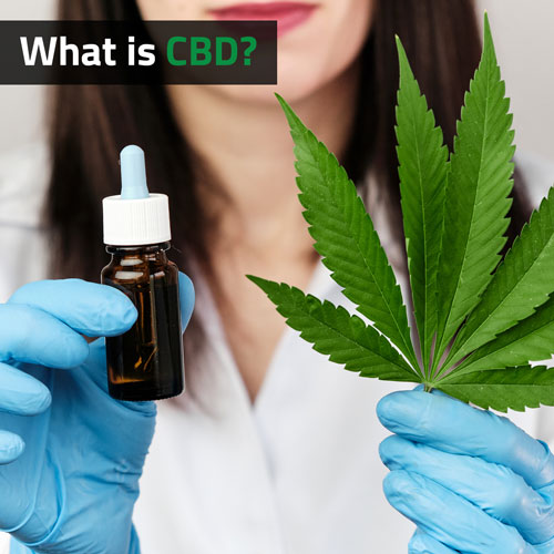 Cannabis-What-is-CBD