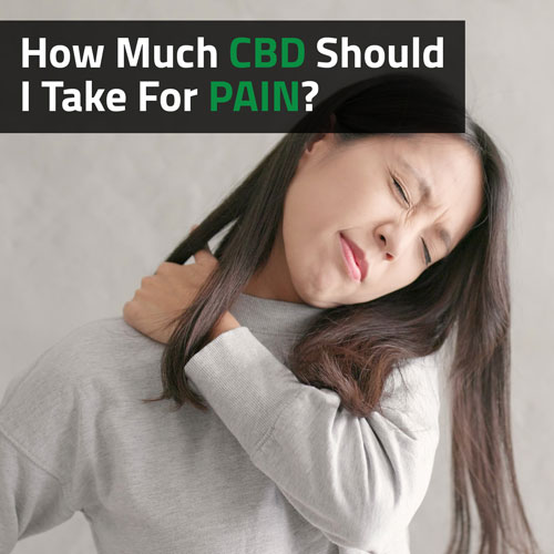 Cannabis-How-Much-CBD-Oil-Should-I-Take-For-Pain