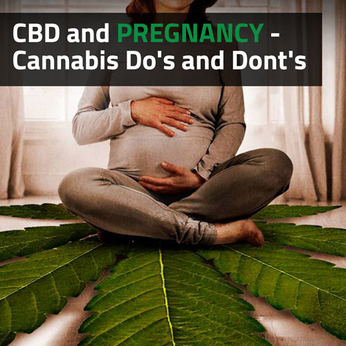 CBD-and-Pregnancy-Cannabis-Dos-and-Donts