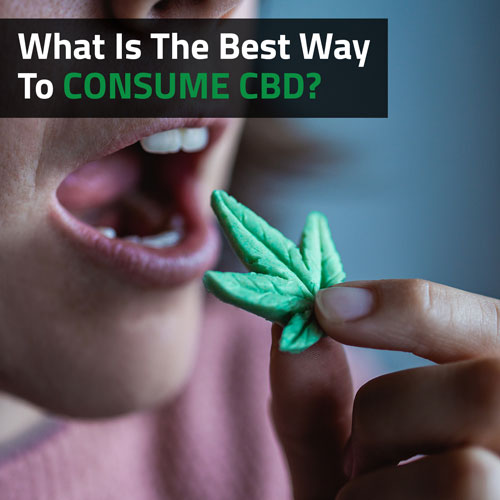 Cannabis-What-Is-The-Best-Way-To-Consume-CBD