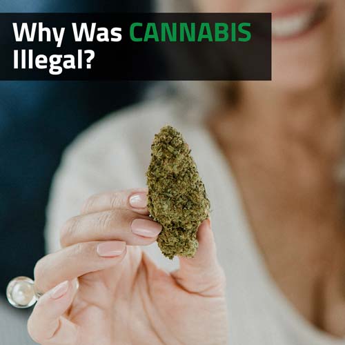 Why-Was-Cannabis-Illegal