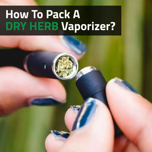 Cannabis-How-To-Pack-A-Dry-Herb-Vaporizer