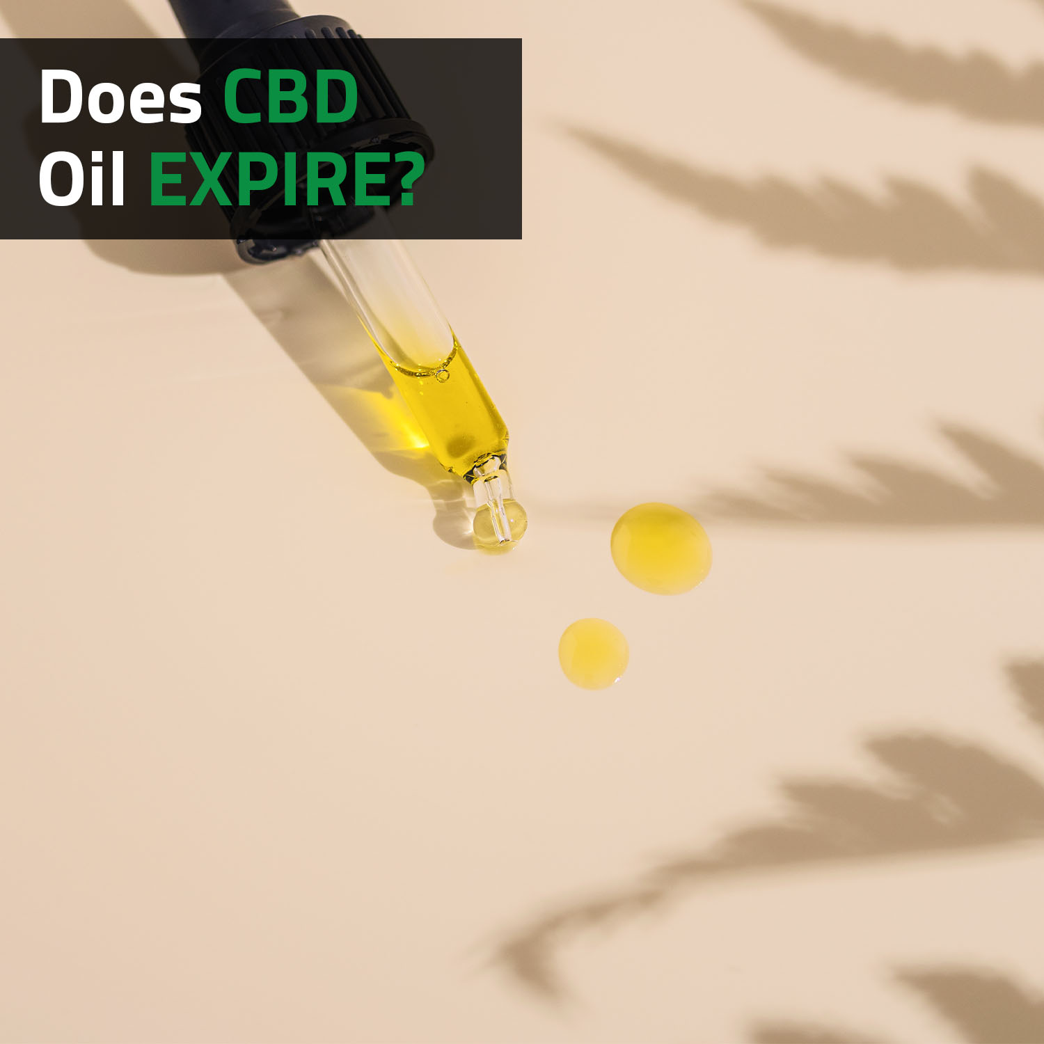 Does CBD Oil Expire?