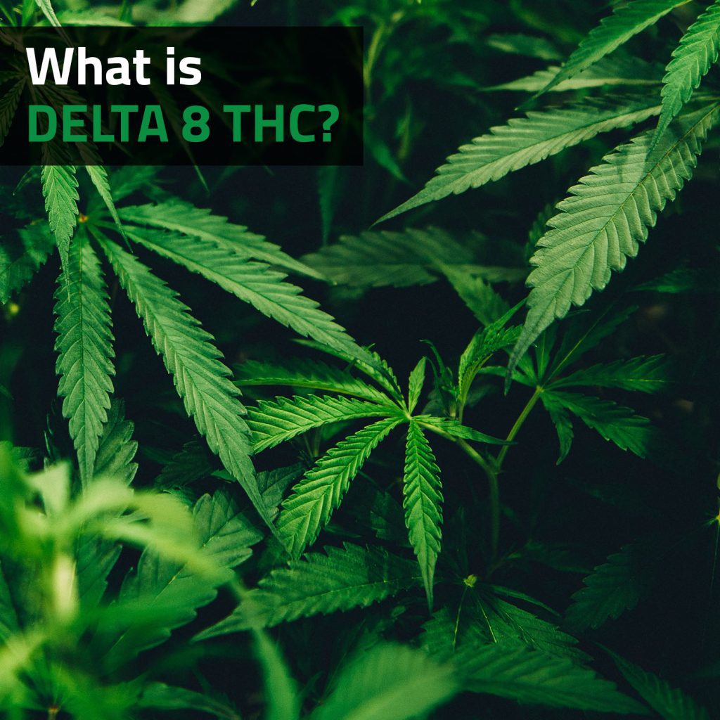 What Is Delta-8 THC?