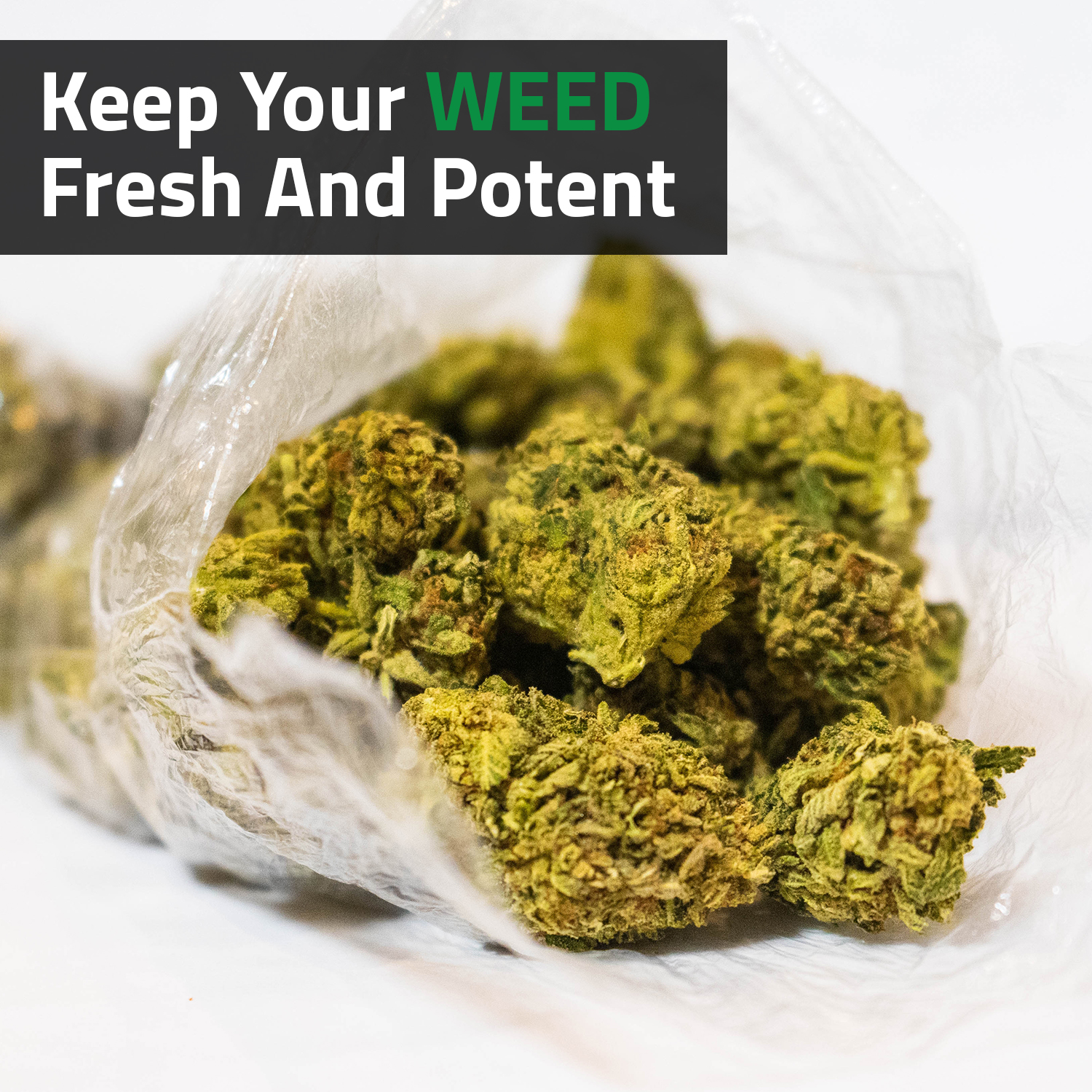 Keep Your Weed Fresh And Potent