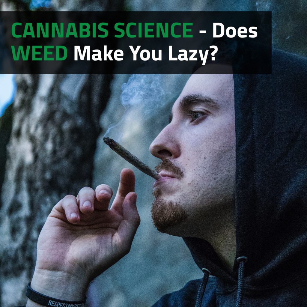 Cannabis Science - Does Weed Make You Lazy?