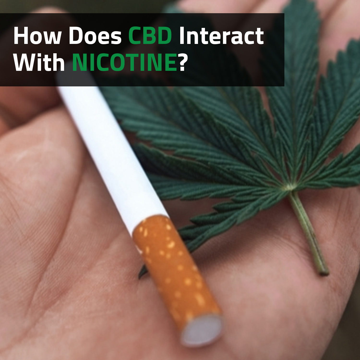 Does CBD Interact With Nicotine?
