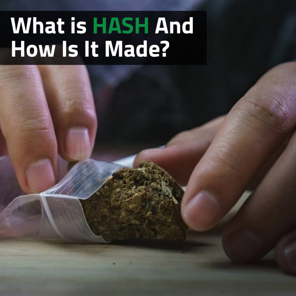 What Is Hash And How Is It Made