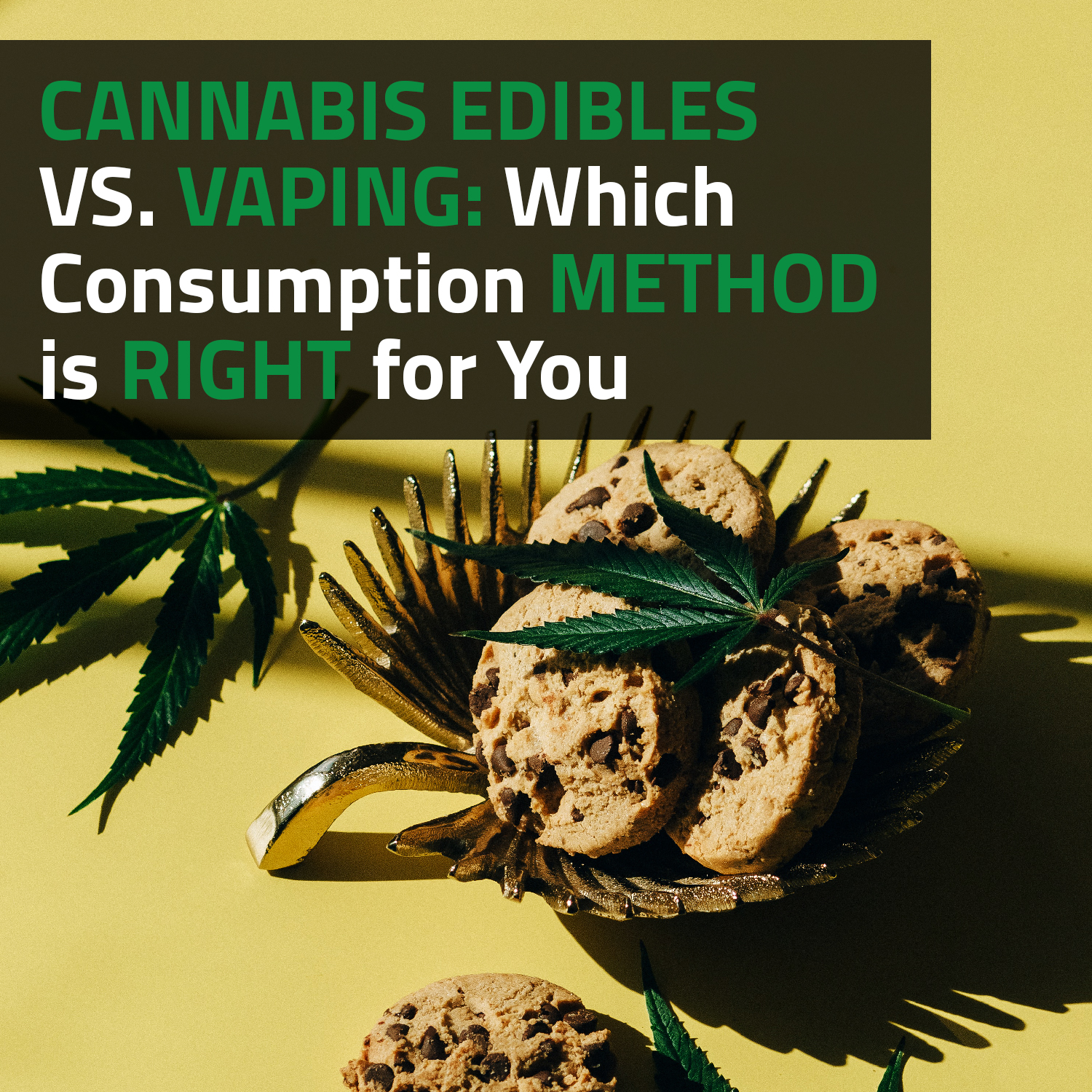 Cannabis Edibles Vs. Vaping: Which Consumption Method Is Right For You