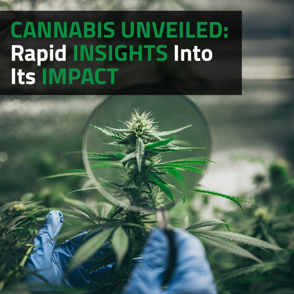 Cannabis Unveiled: Rapid Insights Into Its Impact