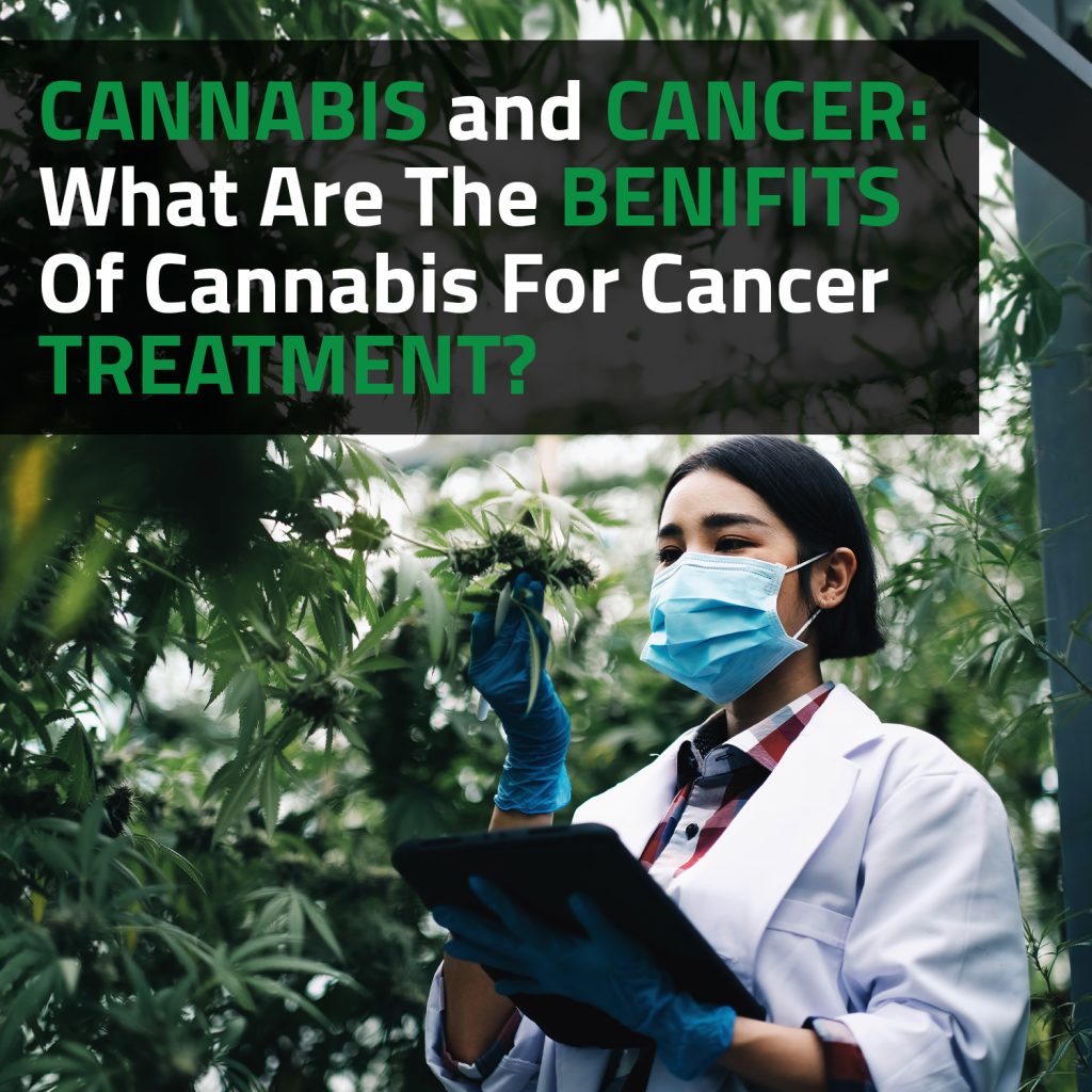 Cannabis And Cancer: What Are The Benefits Of Cannabis For Cancer Treatment
