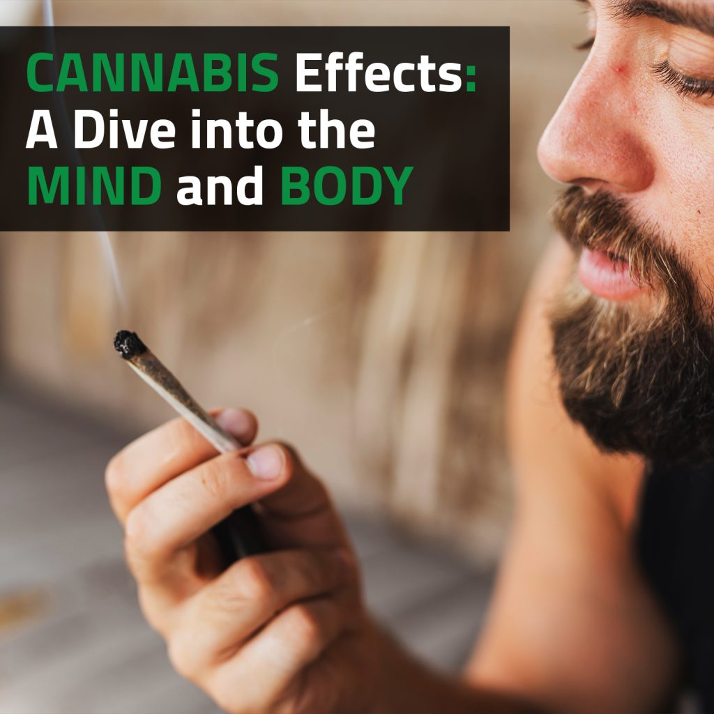 Cannabis Effects: A Dive Into The Mind And Body