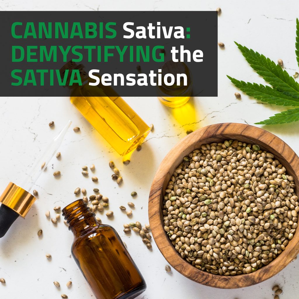 Cannabis Sativa: Demystifying The Sativa Sensation