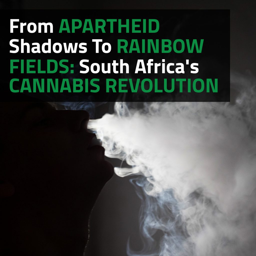 From Apartheid Shadows To Rainbow Fields: South Africa's Cannabis Revolution