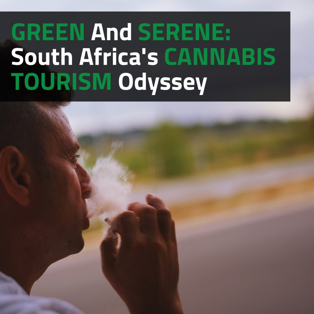 Green And Serene: South Africa's Cannabis Tourism Odyssey