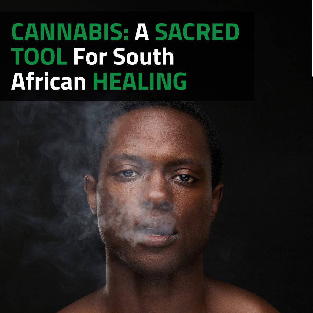 Cannabis: A Sacred Tool For South African Traditional Healing