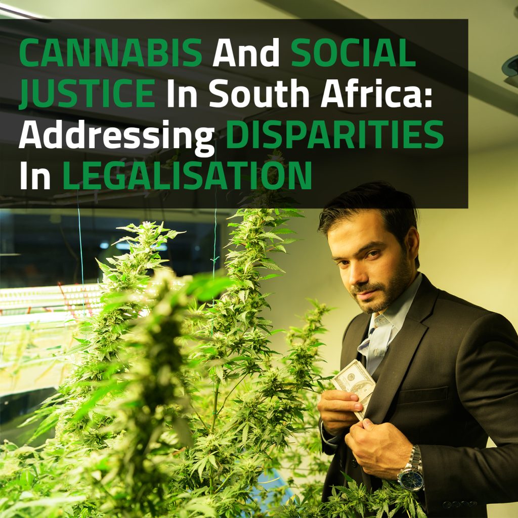 Cannabis and Social Justice in South Africa: Addressing Disparities in Legalisation