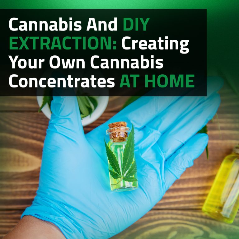 Cannabis And DIY Extraction: Creating Your Own Cannabis Concentrates At Home