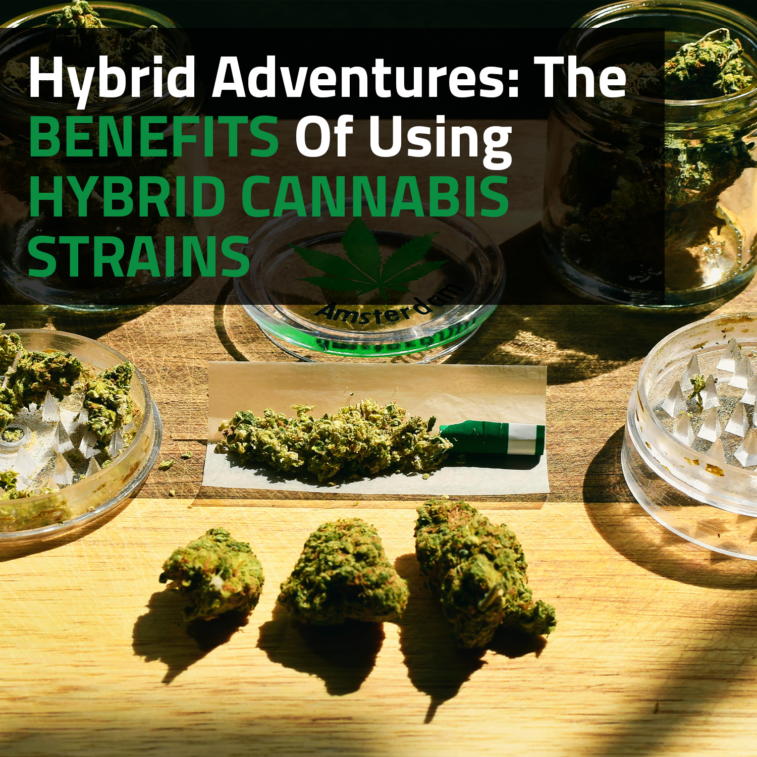 Hybrid Adventures: The Benefits Of Using Hybrid Cannabis Strains