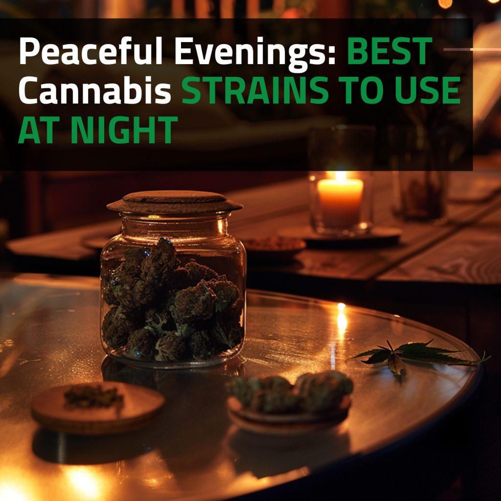 Peaceful Evenings: Best Cannabis Strains To Use At Night