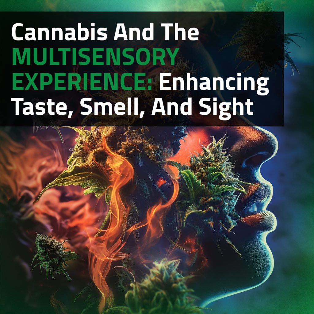 Cannabis And The Multisensory Experience: Enhancing Taste, Smell, And Sight