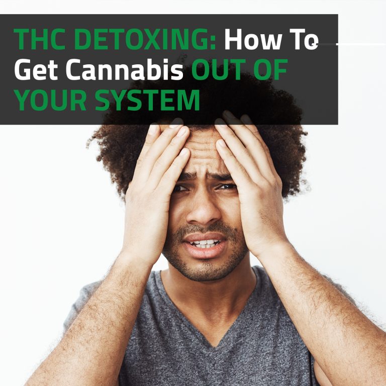 THC Detoxing: How To Lower Your Cannabis Tolerance