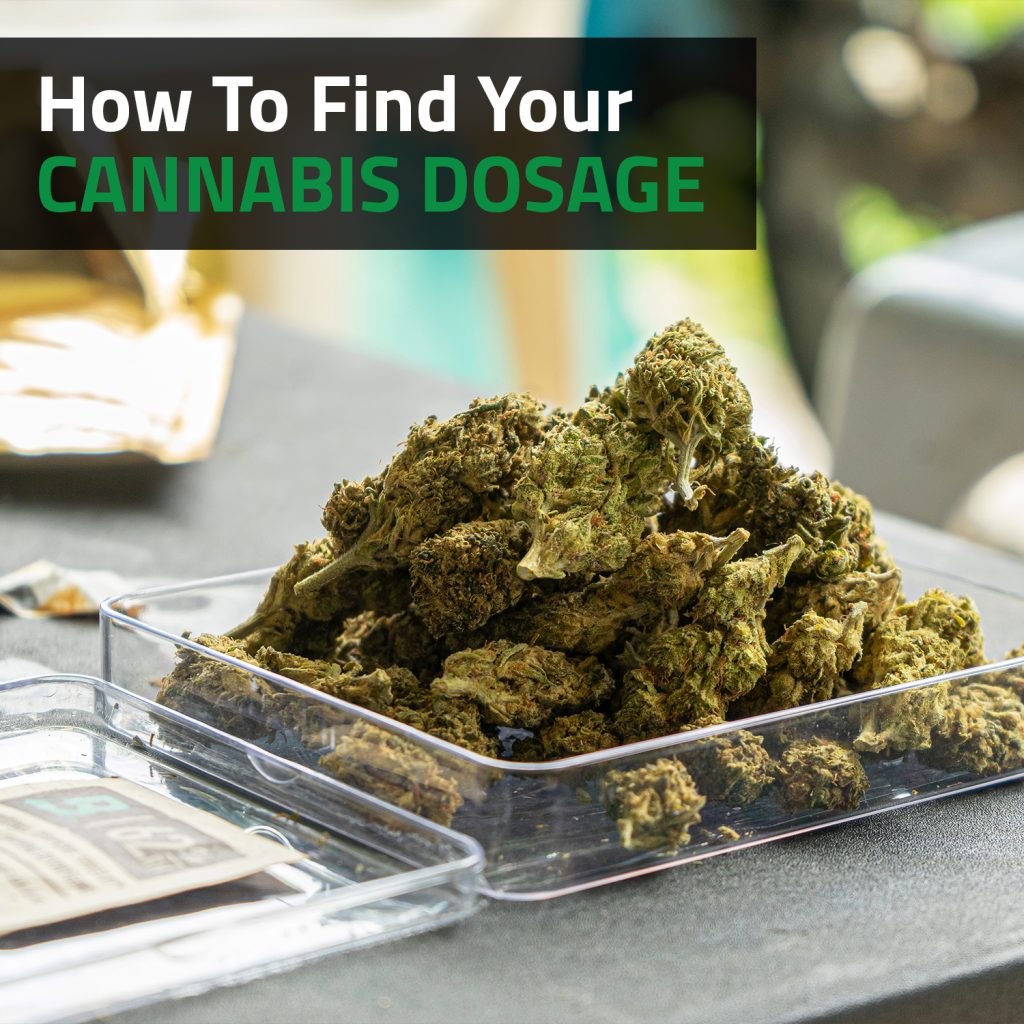 How To Find Your Cannabis Dosage