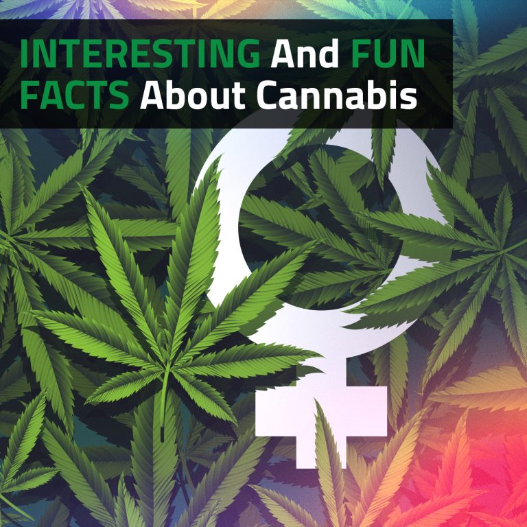 Interesting And Fun Facts About Cannabis