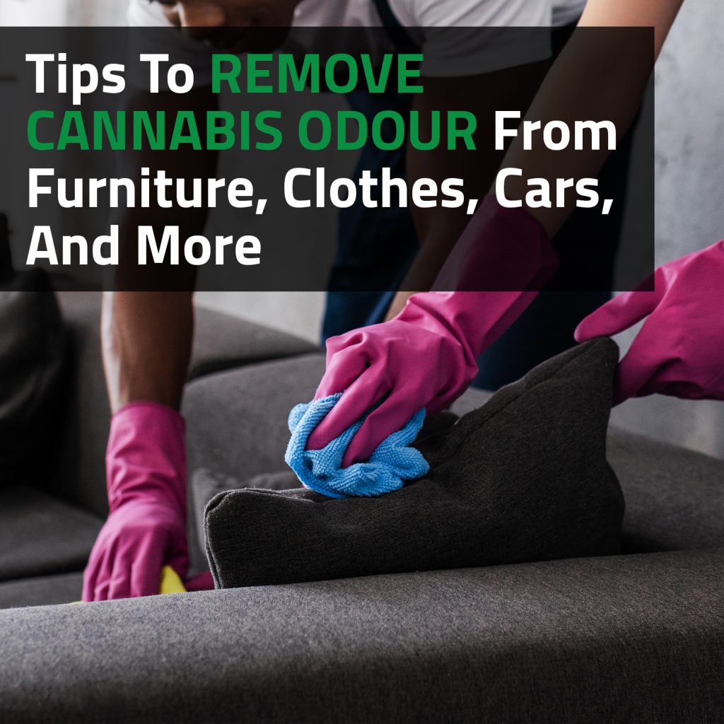 Tips To Remove Cannabis Odour From Furniture, Clothes, Cars, And More