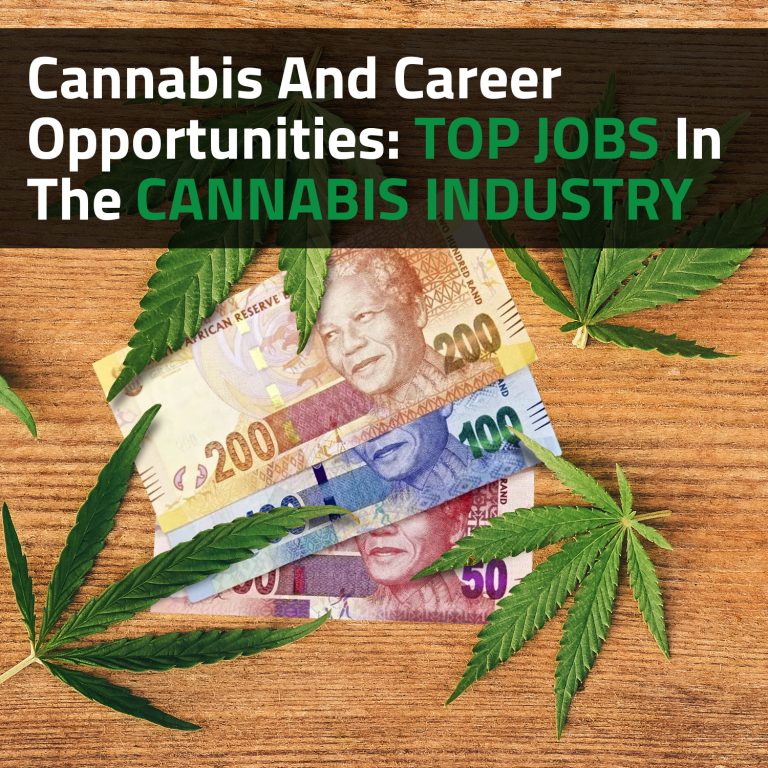 Cannabis And Career Opportunities: Top Jobs In The Cannabis Industry