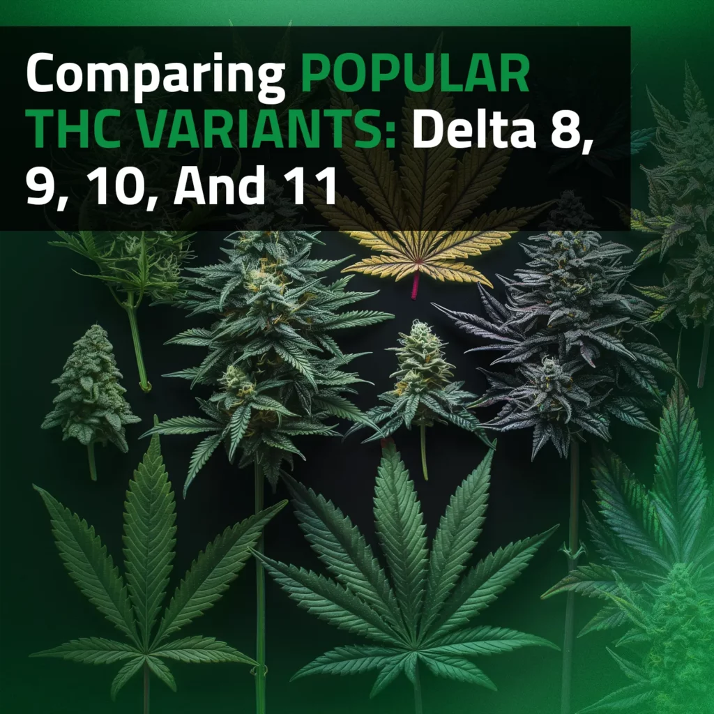 Comparing Popular THC Variants: Delta 8, 9, 10, And 11