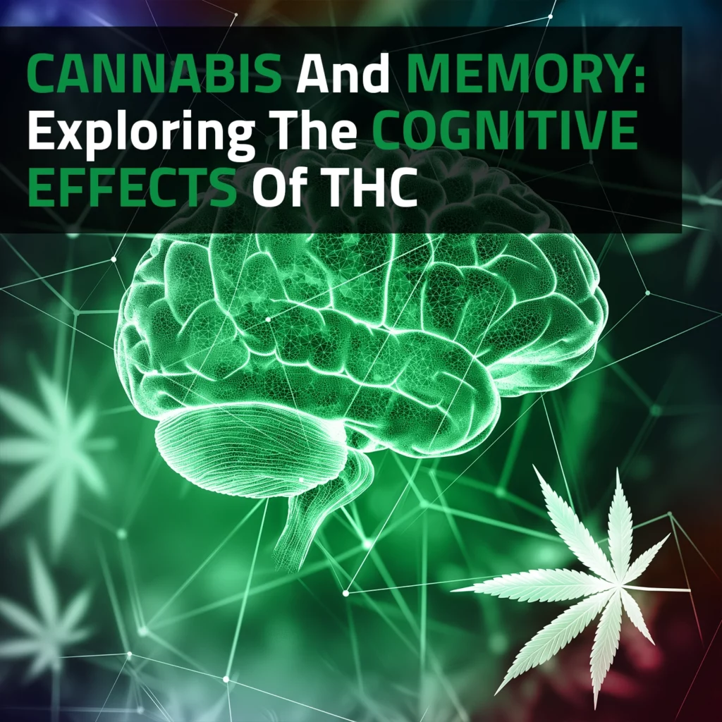 Cannabis And Memory: Exploring The Cognitive Effects Of THC