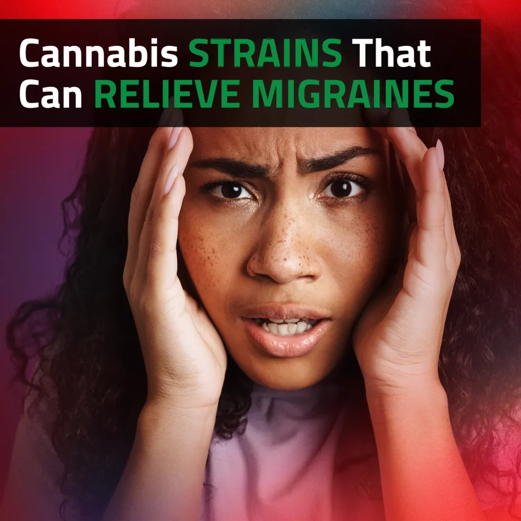 Cannabis Strains That Can Relieve Migraines